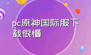 pc原神国际服下载很慢（pc原神国际服下载很慢怎么回事）