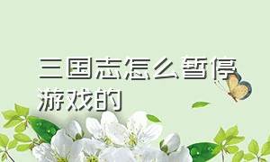 三国志怎么暂停游戏的（三国志单机版怎么玩不了了）