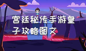 宫廷秘传手游皇子攻略图文