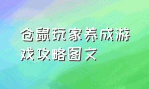 仓鼠玩家养成游戏攻略图文（治愈养成仓鼠游戏攻略大全）