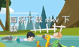 盲探下载 mkv 下载（盲探网盘）