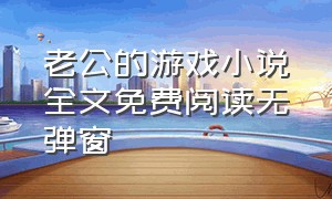 老公的游戏小说全文免费阅读无弹窗