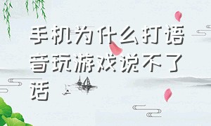 手机为什么打语音玩游戏说不了话（手机打游戏时不能语音）