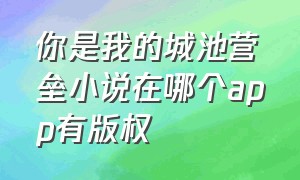 你是我的城池营垒小说在哪个app有版权（你是我的城池营垒改编自哪部小说）