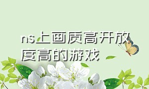 ns上画质高开放度高的游戏