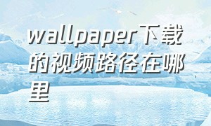 wallpaper下载的视频路径在哪里（wallpaper下载的视频为什么消失了）