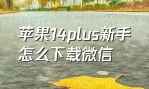 苹果14plus新手怎么下载微信