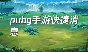 pubg手游快捷消息（pubg手游怎么设置快捷消息）