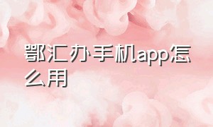 鄂汇办手机app怎么用（鄂汇办app下载后怎么登录进去）