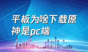 平板为啥下载原神是pc端