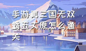 手游真三国无双霸五丈原怎么通关（真三国无双霸气手游pvp技巧）