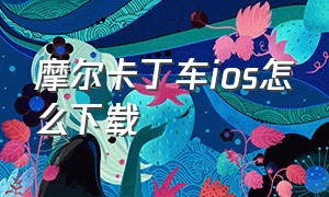 摩尔卡丁车ios怎么下载