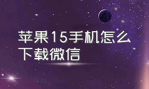 苹果15手机怎么下载微信（苹果15第二个微信怎么下载）