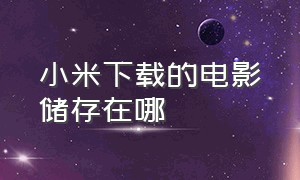 小米下载的电影储存在哪