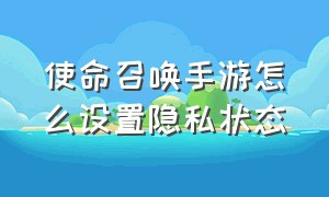 使命召唤手游怎么设置隐私状态（使命召唤手游怎么设置隐私状态权限）