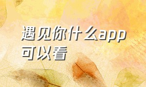 遇见你什么app可以看（遇见你之后在哪个app看不需要vip）