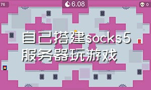 自己搭建socks5服务器玩游戏