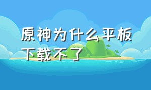 原神为什么平板下载不了（原神下载入口官方平板）