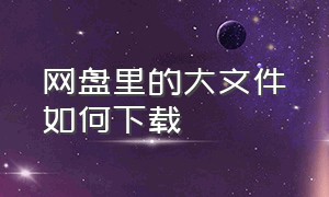 网盘里的大文件如何下载（网盘文件太大怎么下载）