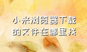 小米浏览器下载的文件在哪里找（小米浏览器安装软件权限哪里更改）