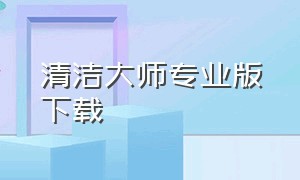 清洁大师专业版下载（快闪清理大师下载安装）