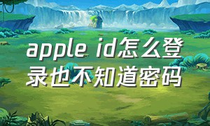 apple id怎么登录也不知道密码（apple id密码没错怎么登录不了）