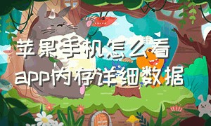 苹果手机怎么看app内存详细数据（苹果手机怎么查看app占用多大内存）