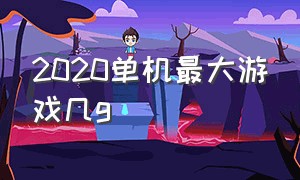 2020单机最大游戏几g