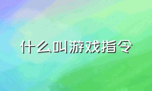 什么叫游戏指令（游戏代码啥意思）