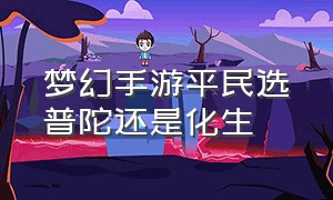 梦幻手游平民选普陀还是化生