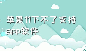 苹果11下不了支持app软件（苹果11下不了支持app软件怎么回事）