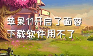 苹果11开启了面容下载软件用不了（苹果11开启了面容下载软件用不了怎么回事）