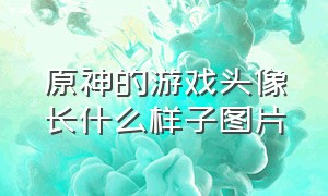 原神的游戏头像长什么样子图片（原神的游戏头像长什么样子图片高清）