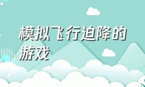 模拟飞行迫降的游戏