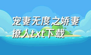 宠妻无度之娇妻撩人txt下载（千面娇妻宠成瘾txt全集下载）