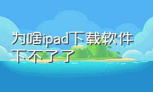 为啥ipad下载软件下不了了