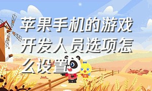 苹果手机的游戏开发人员选项怎么设置（苹果下载游戏需要开启开发者模式）