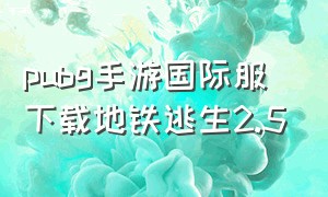 pubg手游国际服下载地铁逃生2.5