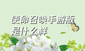 使命召唤手游版是什么样（使命召唤手游是分哪个版本的）