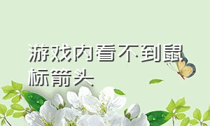 游戏内看不到鼠标箭头（游戏内看不到鼠标箭头怎么回事）