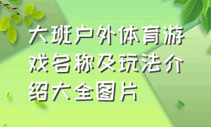 大班户外体育游戏名称及玩法介绍大全图片（大班户外体育游戏名称及玩法介绍大全图片及教案）