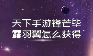 天下手游锋芒毕露羽翼怎么获得