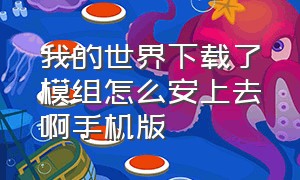 我的世界下载了模组怎么安上去啊手机版（我的世界自己下载的模组怎么安装）