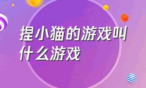 捏小猫的游戏叫什么游戏（可以捏猫的游戏的名字）