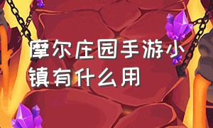 摩尔庄园手游小镇有什么用