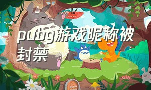 pubg游戏昵称被封禁（pubg被盗永久封禁怎么看游戏名字）