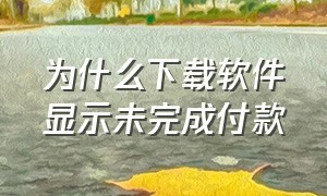 为什么下载软件显示未完成付款（为什么下载软件显示未完成付款订单）