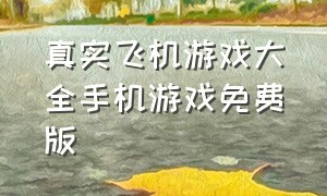 真实飞机游戏大全手机游戏免费版