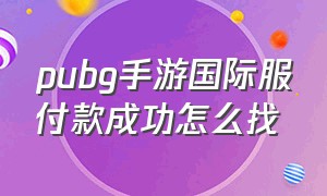 pubg手游国际服付款成功怎么找（手游pubg国际服点到商店怎么退出）