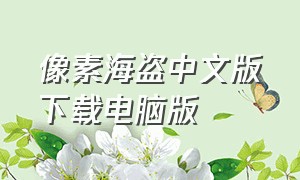 像素海盗中文版下载电脑版